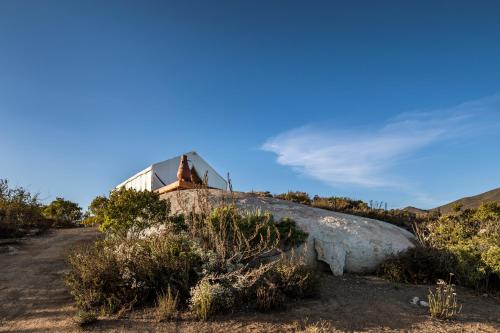 an old house with a glass roof on a dirt road at Casa Misiones Glamping in Valle de Guadalupe