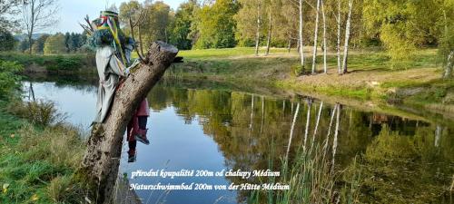 a person sitting on a tree branch next to a river at Chalupa Medium in Krásná Lípa