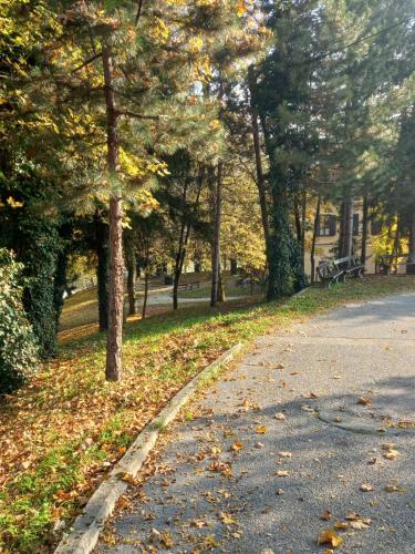a path in a park with trees and leaves on the ground at Kuća za odmor VB-IDRO in Tuhelj