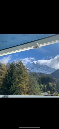 Chalet Pleine Vue & Spa photo 38
