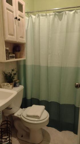 a bathroom with a toilet and a green shower curtain at Michand Guest Apartments- Cozy one or two bedroom- 5 walk minutes from airport 10 mins drive to Oistins or beach in Christ Church