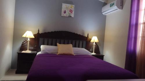1 dormitorio con 1 cama de color púrpura y 2 lámparas en Michand Guest Apartment- Cozy one/two bedroom- 5 minutes from airport., en Christ Church