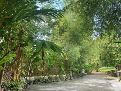 Taman di luar The Village Siargao