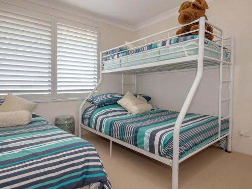 a bedroom with two bunk beds and a teddy bear on top at Kamilaroi, 6/58-60 Magnus Street in Nelson Bay