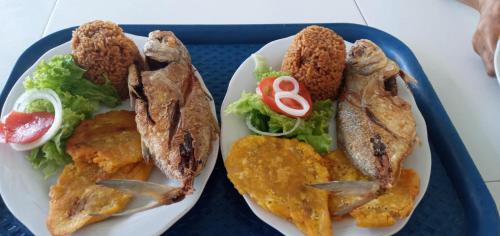 a plate of food with fish and vegetables on a tray at Hotel Don Toño Tolú in Tolú