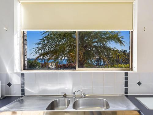 a window above a sink in a kitchen with a palm tree at Portside Unit 8 1 Donald Street in Nelson Bay