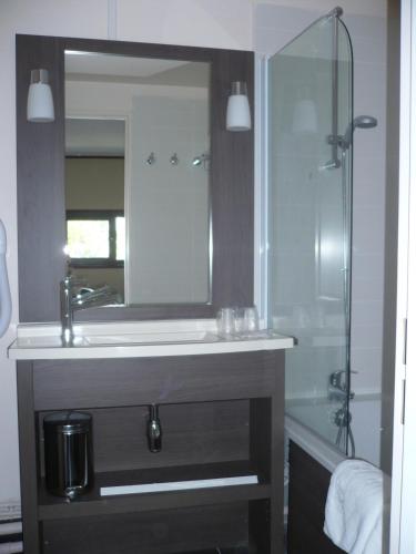 une salle de bain avec un lavabo et une douche avec un miroir dans l'établissement Hotel De France, à Montargis
