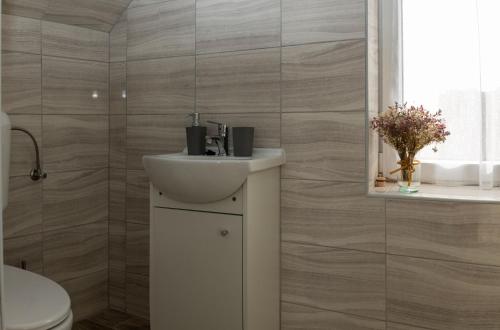 łazienka z białą umywalką i toaletą w obiekcie Takács Pince apartman w mieście Hajós