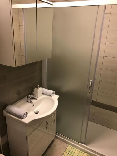 a bathroom with a sink and a shower at Apartments Kaninska Vas in Bovec