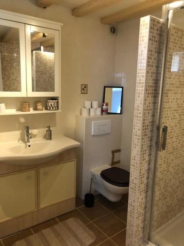 羅莫朗坦的住宿－Le Grand Appartement - 90m2- 2 chb , 1 mezzanine - 6pers，浴室配有卫生间、盥洗盆和淋浴。