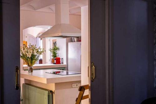 una cucina con piano di lavoro e frigorifero di Lidias Rural House HUTB0615 a Barcellona