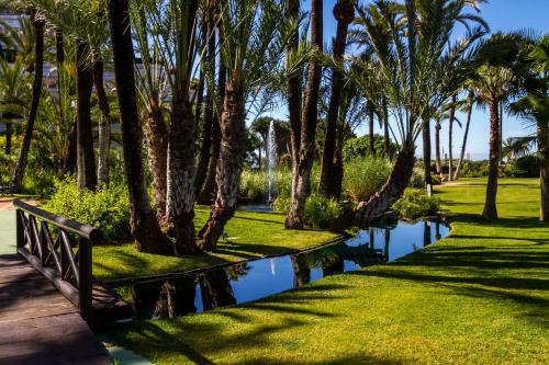 un parque con palmeras y un estanque en MARBELLA BANUS SUITES - Bird Of Paradise Playas del Duque Banús Suite Apartment, en Marbella