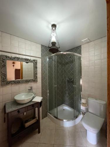 a bathroom with a shower and a sink and a toilet at Casa D'Campo Ferreira in Pitões das Júnias