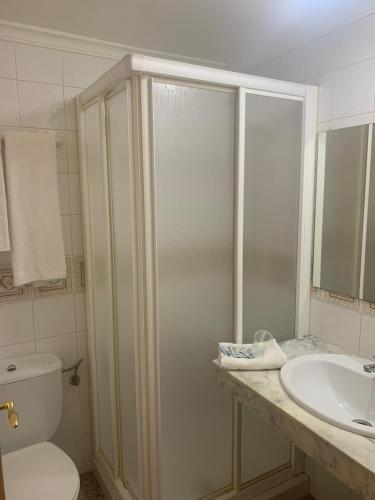La salle de bains est pourvue d'une douche, de toilettes et d'un lavabo. dans l'établissement Hostal El Perejil, à Cuevas del Almanzora