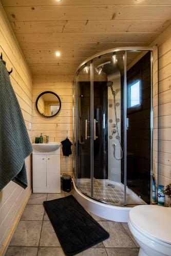 a bathroom with a shower and a toilet and a sink at Vectēva dārzs in Rucava