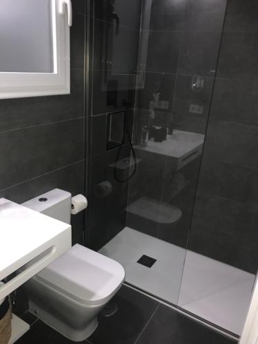 a bathroom with a shower and a toilet and a sink at Suite Vitbanus in Marbella