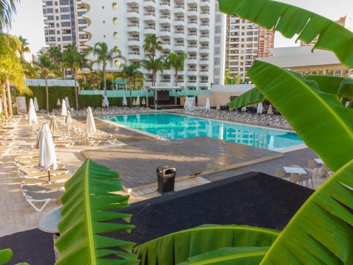 a pool with chairs and umbrellas and a building at Hotel Rosamar in Benidorm