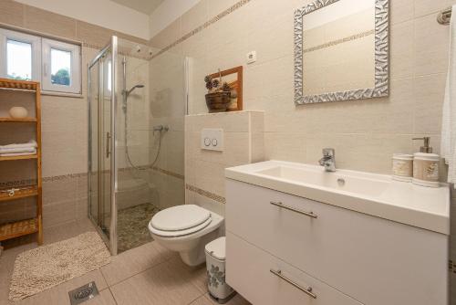 a bathroom with a toilet and a sink and a shower at Villa Tatijana ZadarVillas in Kukljica