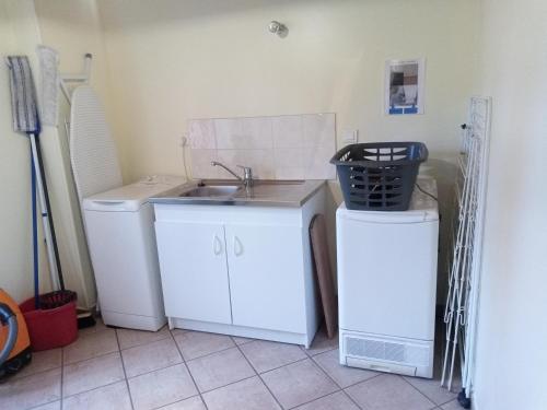 een kleine keuken met een wastafel en een wasmachine bij chantacalme in Montboissier