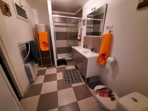ein Badezimmer mit einem Waschbecken, einem WC und einem Spiegel in der Unterkunft GITE D'HAUTEVESNES in Hautevesnes