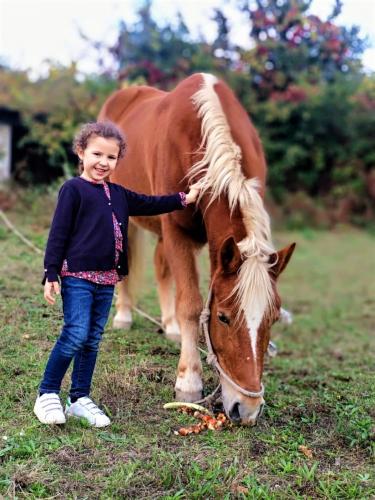 a young girl standing next to a brown and white horse at Verde Água Agroturismo e Agricultura Biológica in Couto