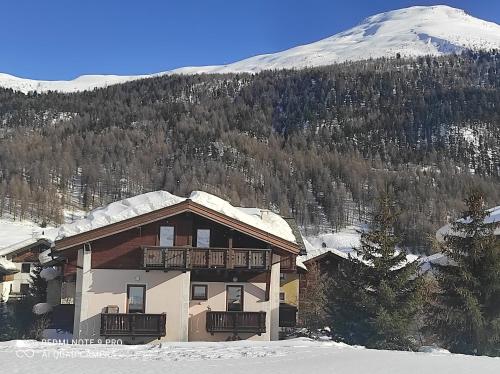 DGApartments Stella Alpina Livigno talvella