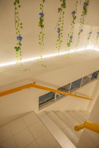 a room with flowers painted on the ceiling at Pousada Serra Bella in Tianguá