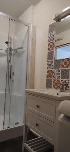 een badkamer met een wastafel en een douche bij Le Maréchal in Gien