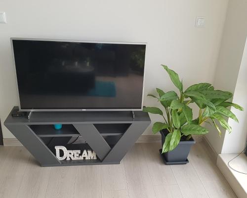 een flatscreen-tv op een tv-stand met een plant bij Azzurro-Top floor apartment in quiet neighborhood, Free private parking in Varna