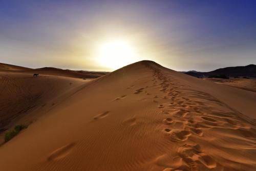 a sand dune in the desert at sunset at Merzouga Bohemian Camp in Merzouga