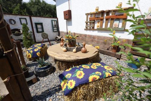 a garden with a table with pillows and a table with plants at Etno kuća Teodora in Staji°evo