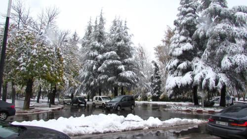 a snowy street with cars parked next to snow covered trees at Bed and breakfast in Ifrane