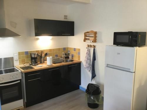 a kitchen with a white refrigerator and a sink at Lo Cantalés d’Aubrac in Laguiole