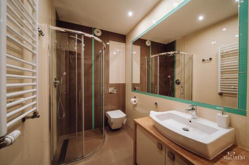 施柯拉爾斯卡波倫巴的住宿－Dolina Wikingów Apartament Oye 13，一间带水槽、淋浴和卫生间的浴室