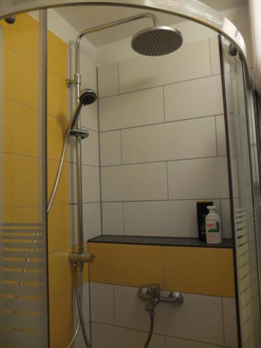 eine Dusche mit Duschkopf im Bad in der Unterkunft Wohnung in der zentrale Lage bis zu 5 Personen in Leipzig