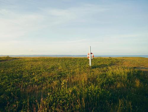 a stop sign in the middle of a field at Molskroen Strandhus in Ebeltoft