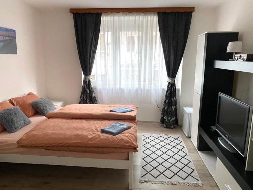 a bedroom with a bed and a tv and a window at COZY CENTER Apartment Bihać in Bihać