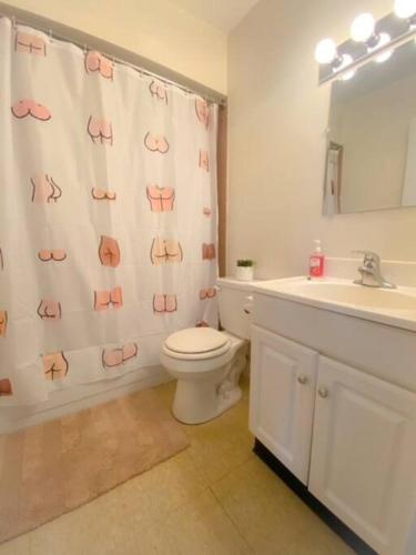 een badkamer met een douchegordijn, een toilet en een wastafel bij Cozy Two Bedroom Apartment in the City Center in Trenton