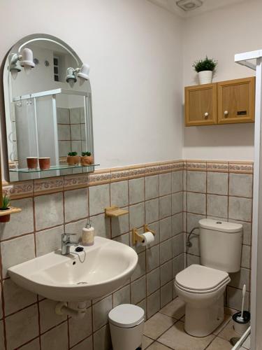 La salle de bains est pourvue d'un lavabo, de toilettes et d'un miroir. dans l'établissement Vivienda vacacional Las Cañas, à Santa Úrsula