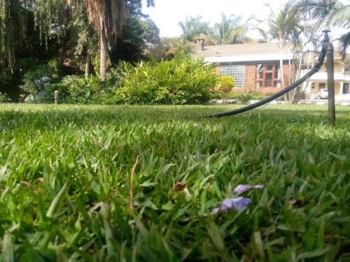 a hose in the grass in front of a house at Karibu Heritage House in Arusha