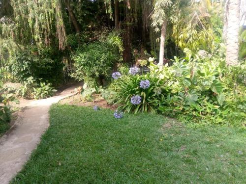a garden with purple flowers in the grass at Karibu Heritage House in Arusha