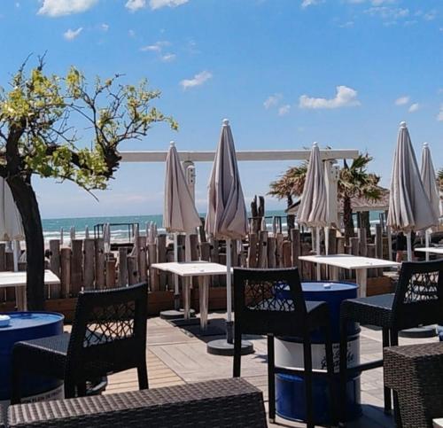 AGREABLE STUDIO VUE PORT AU CAP D'AGDE