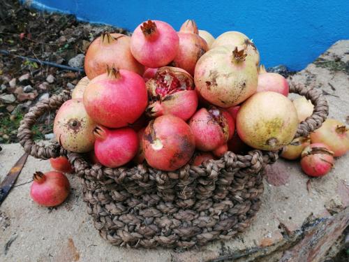 a basket of apples sitting on a table at Quinta da Tapada de São Pedro in Vimieiro