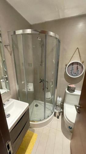 a bathroom with a shower and a sink and a toilet at Parque Pinares 2 dormitorios in Pucón