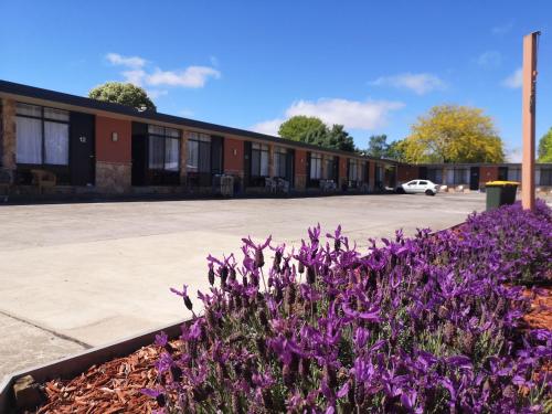 um ramo de flores roxas em frente a um edifício em Avenue Motel em Ballarat