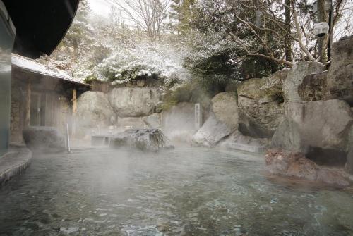 a pool of water with rocks and trees at Suimeikan in Gero