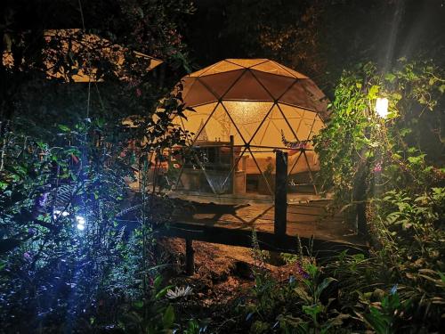 an umbrella sitting on a bench in a garden at night at Fantasia Glamping in Bogotá