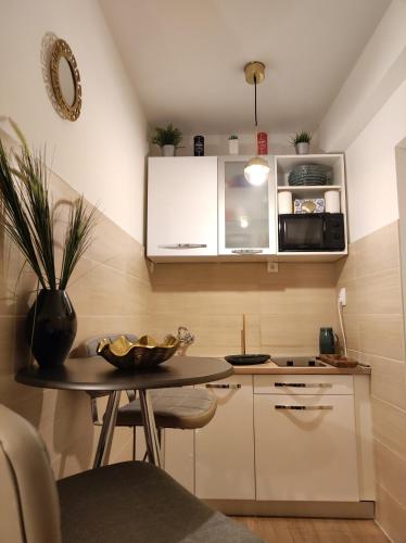 Kuchyň nebo kuchyňský kout v ubytování Apartments Nora