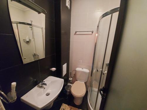 パンポロボにある1 Bedroom cozy flatのトイレ、洗面台、シャワー付きのバスルーム