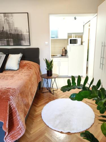 Kuchyň nebo kuchyňský kout v ubytování Apartments Nora